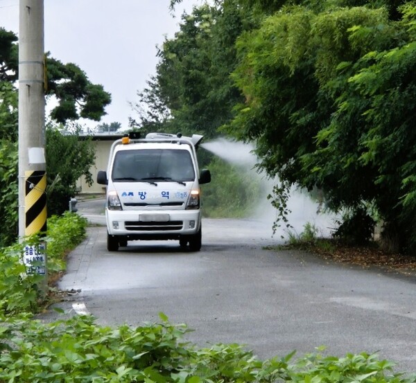 장성군이 하절기 모기 방역에 주력하고 있다 / 사진=장성군