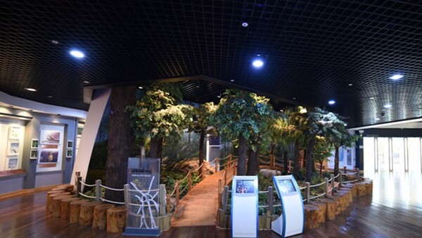 무주반디랜드 곤충박물관 내부 / 사진 = 무주군