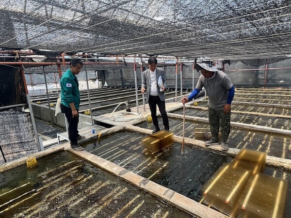 양식장 고수온 대비 현장점검 / 사진 = 해남군
