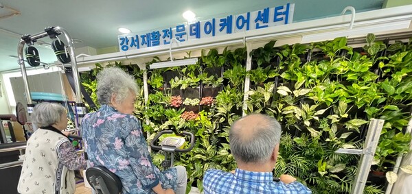 강서재활전문데이케어센터 내 조성된 스마트가든에서 어르신들이 운동기구를 활용해 재활운동을 하고 있다. 사진=강서재활전문데이케어센터
