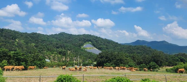 저탄소 축산물 인증 농장 / 사진=전라남도