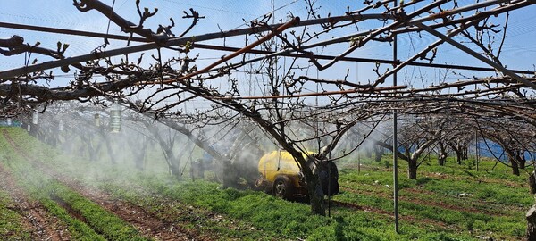 병해충 방제 / 사진 = 광주광역시