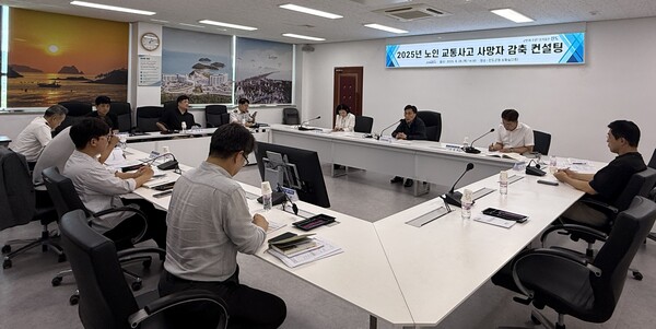 노인 교통사고 예방-컨설팅 / 사진=전라남도