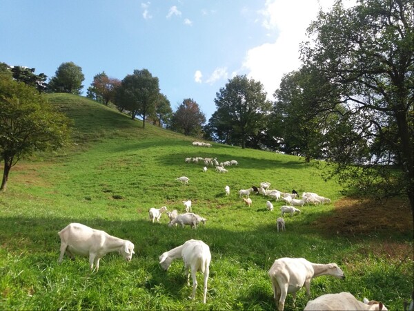 진안 데미샘꿈그린 농장 / 사진 = 전북특별자치도