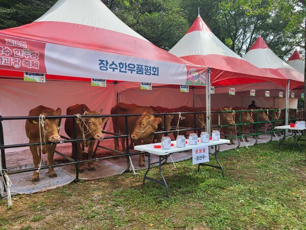 장수한우 품평회 / 사진=장수군