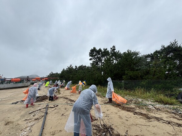 해양쓰레기 수거 활동사진 / 사진 = 신안군