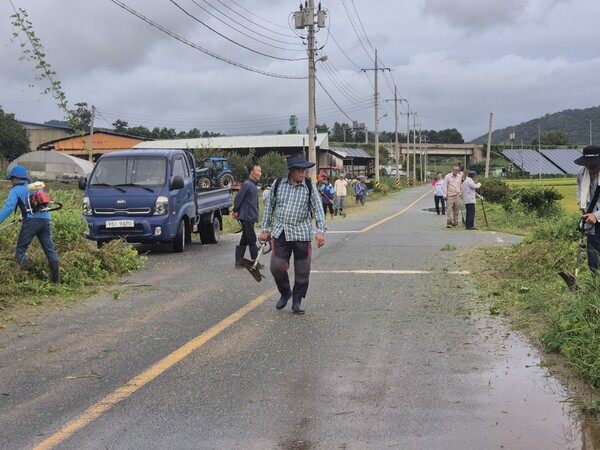 삼향읍 맥포3리 환경정화활동 / 사진 = 무안군