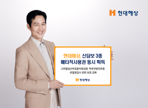 현대해상, 신담보 3종 배타적사용권 동시 획득 / 사진=현대해상