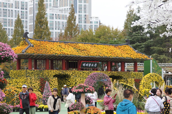 익산시, ‘제22회 천만송이 국화축제’ 연장 전시 3만 명 방문 / 사진 = 익산시
