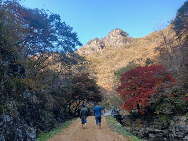 담양 가마골생태공원, 단풍길 따라 걷기 좋은 흙길 산책로 조성 / 사진 = 담양군