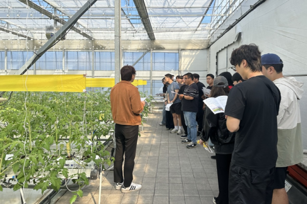 스마트농업 대상 / 사진 = 광주광역시