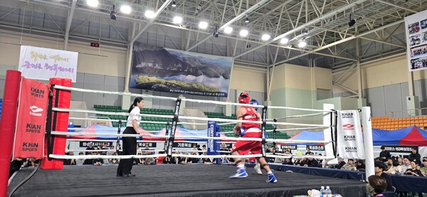 경기 중인 선수들 모습 / 사진=화순군