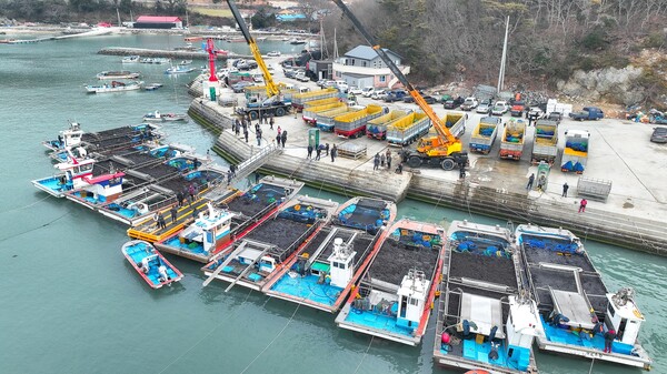 사진은 완도군 군외면 당인리의 물김 위판 현장 / 사진=완도군