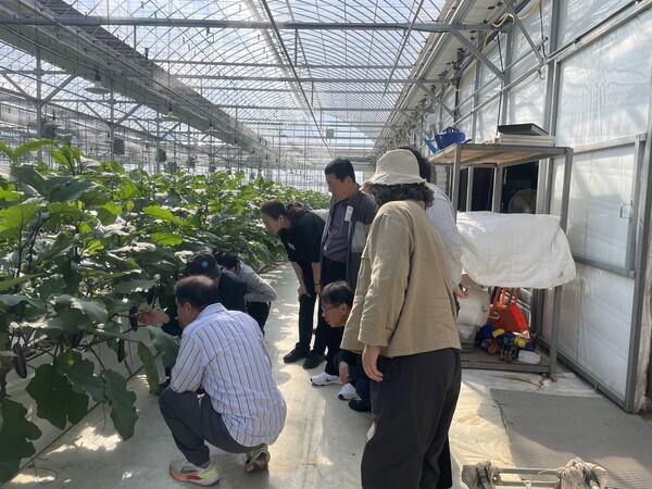 교육 현장 / 사진=경기도