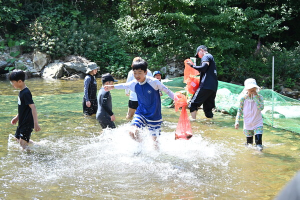 Jangsu Cool Valley Festival现场 appearance