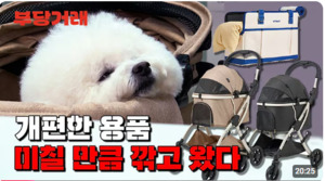 유튜브 예능 '부당거래', 애견용품 전문 리카리카와 최저가 딜 성공 - 뉴스 썸네일 이미지