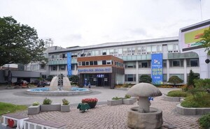 무주군, 올림픽 영웅 문대성과 특별 태권도 클래스 개최 - 뉴스 썸네일 이미지