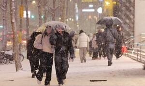 대전·세종·충남 눈·비 날씨 관련 이미지
